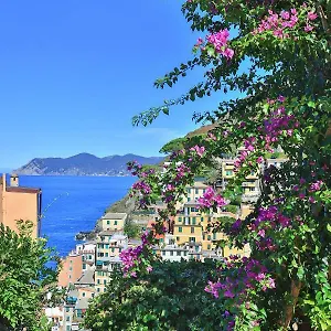  Semesterbostad 5 Terre For Italien